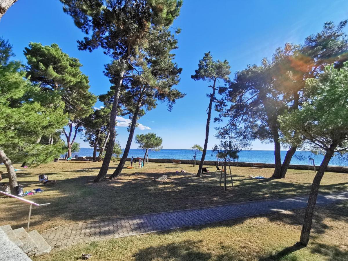 Emily Deluxe Superior 5 Star Studio Apartment, Your Piece Of Heaven With Sea & Park View Novigrad Istria Exteriér fotografie