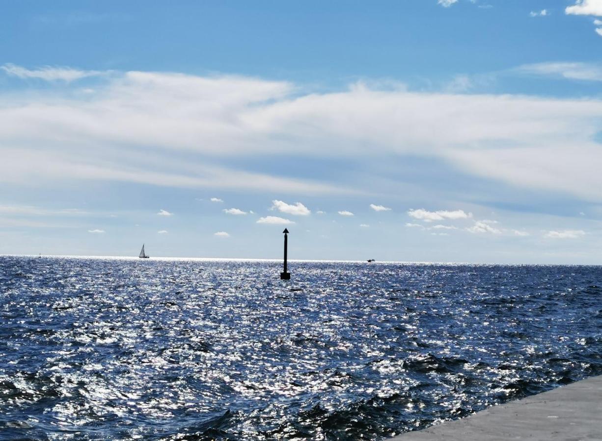 Emily Deluxe Superior 5 Star Studio Apartment, Your Piece Of Heaven With Sea & Park View Novigrad Istria Exteriér fotografie